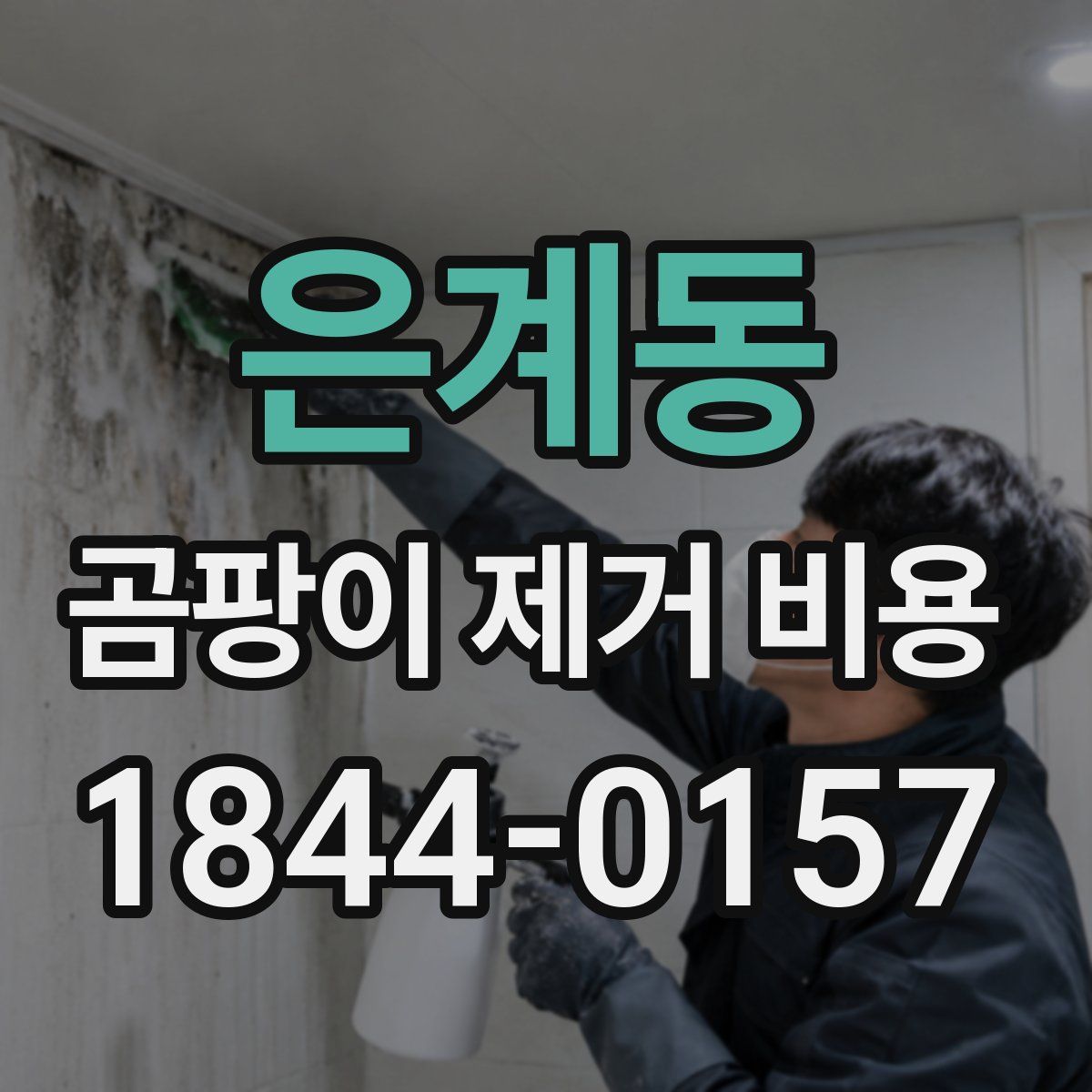 은계동 곰팡이 제거 비용
