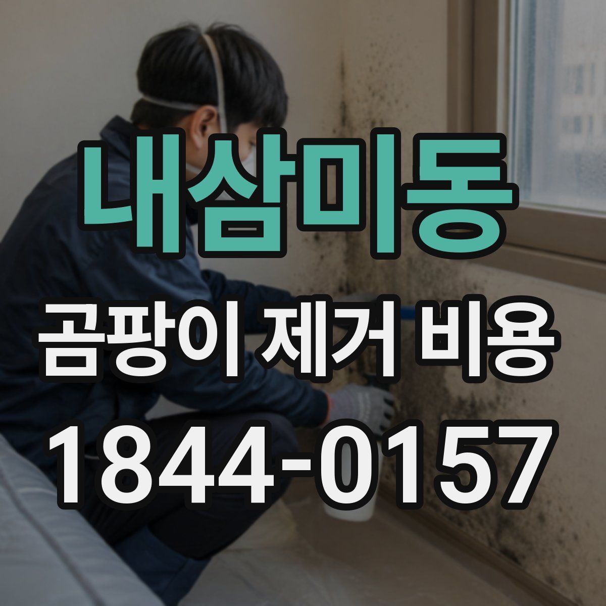 내삼미동 곰팡이 제거 비용