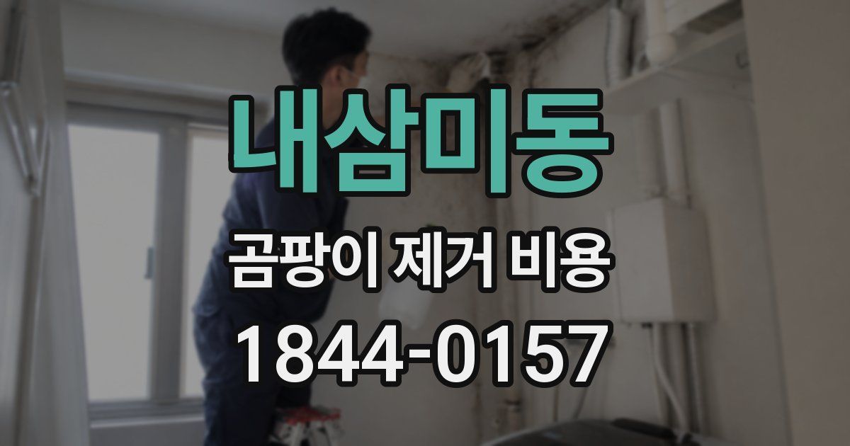 내삼미동 곰팡이 제거 비용
