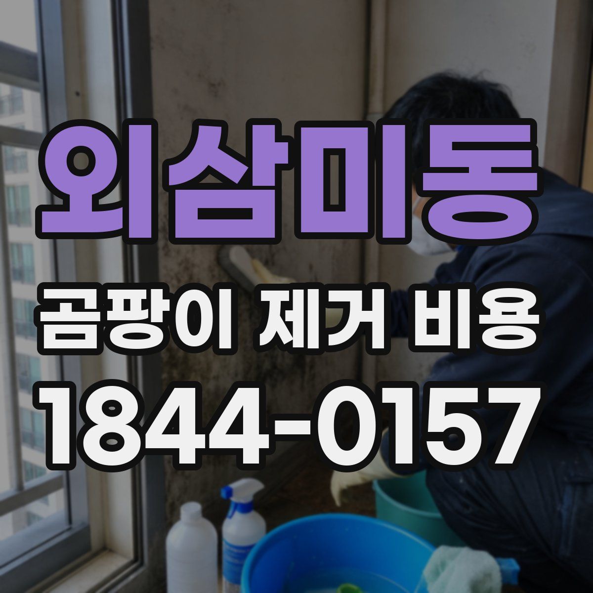 외삼미동 곰팡이 제거 비용