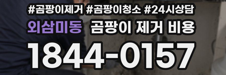 외삼미동 곰팡이 제거 비용