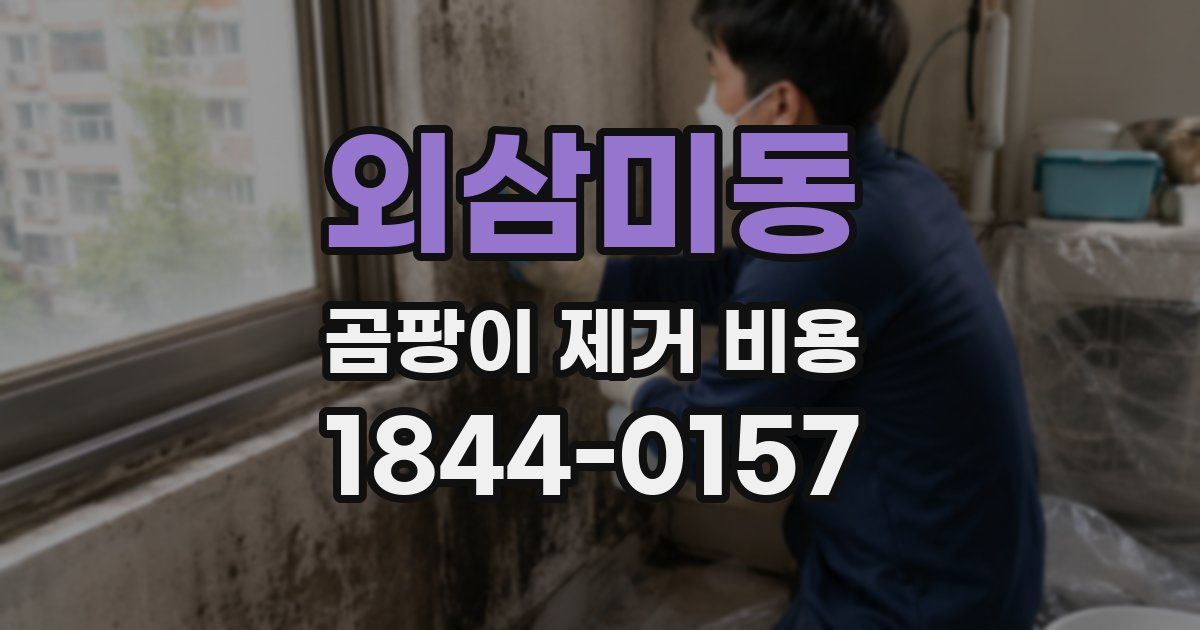 외삼미동 곰팡이 제거 비용