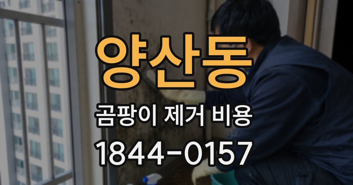 양산동 곰팡이 제거 비용