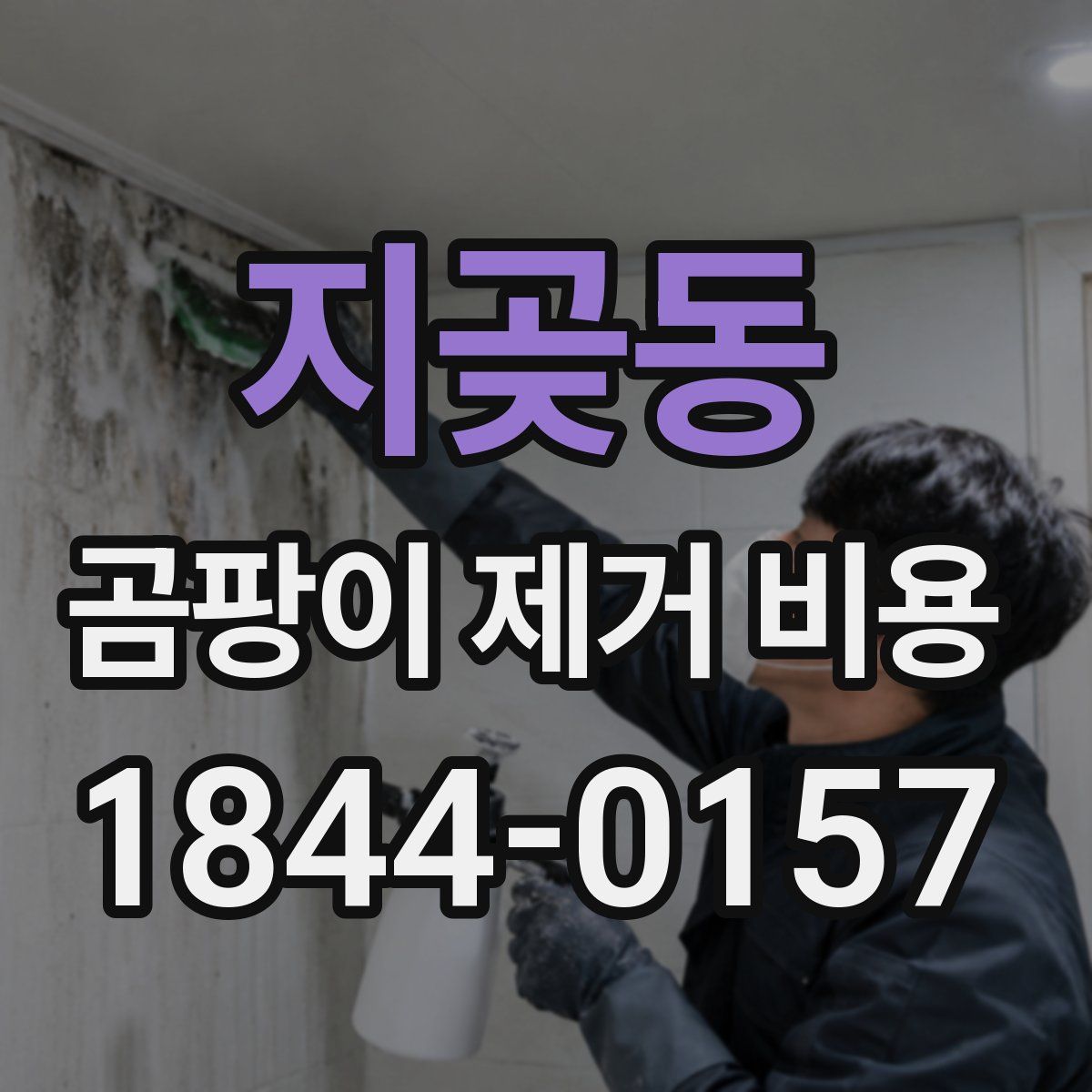 지곶동 곰팡이 제거 비용