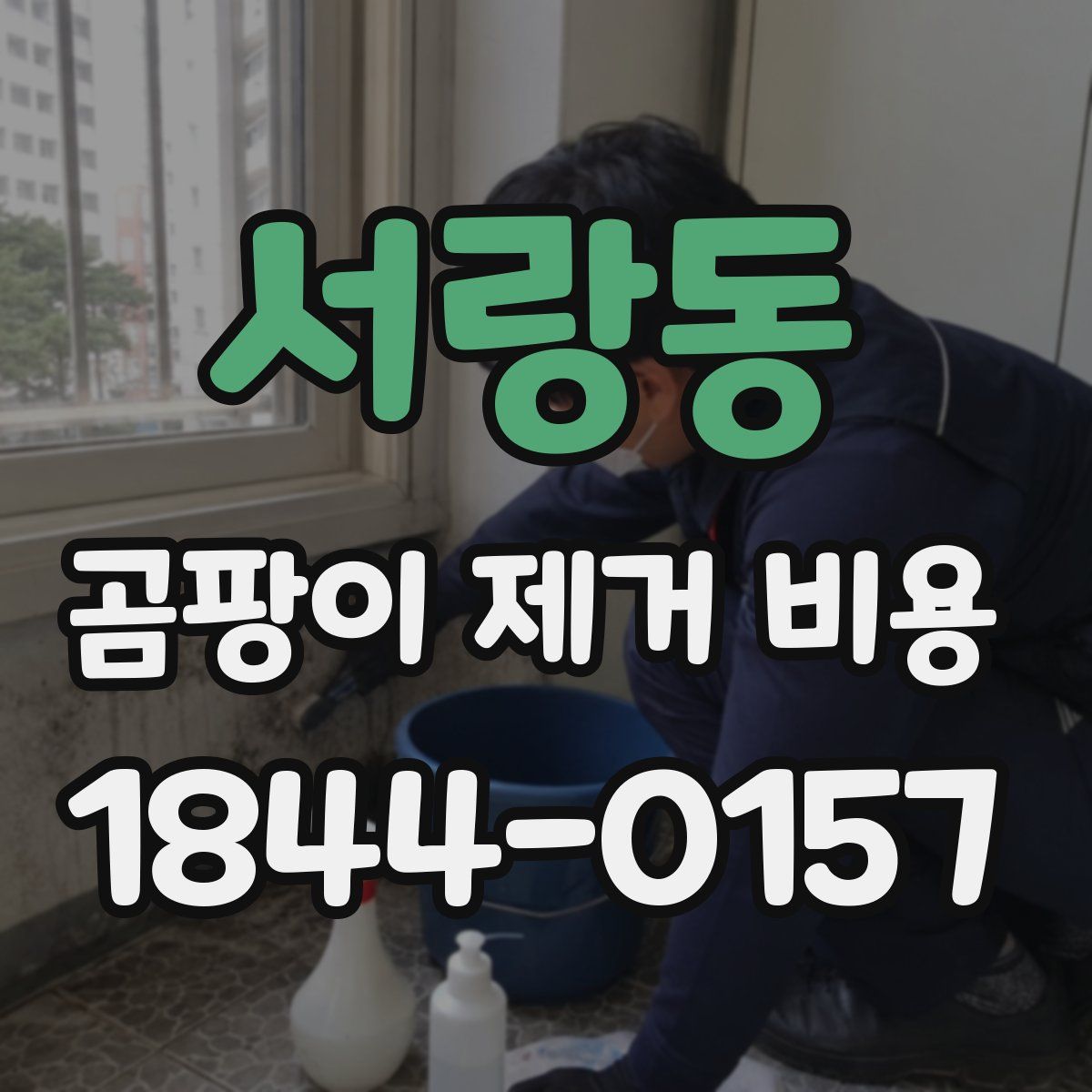 서랑동 곰팡이 제거 비용