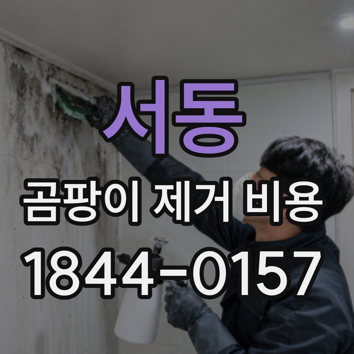 서동 곰팡이 제거 비용
