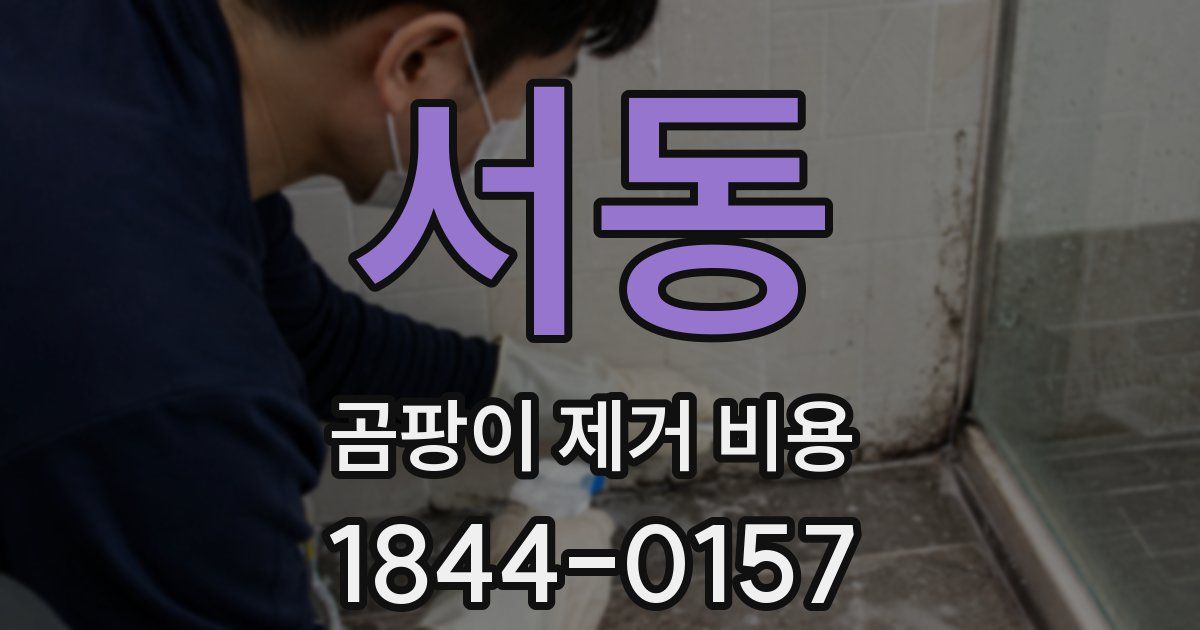 서동 곰팡이 제거 비용
