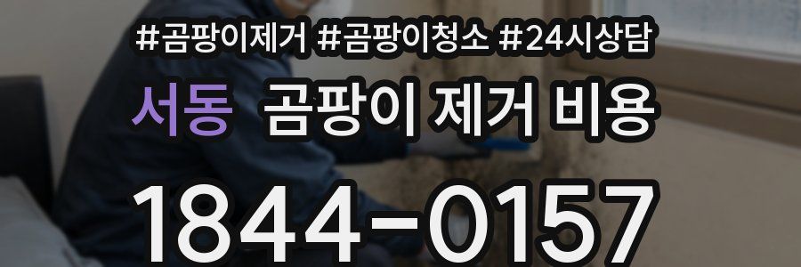 서동 곰팡이 제거 비용