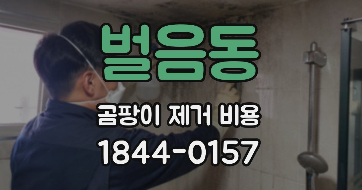 벌음동 곰팡이 제거 비용
