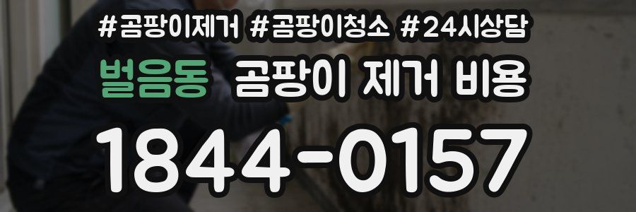벌음동 곰팡이 제거 비용