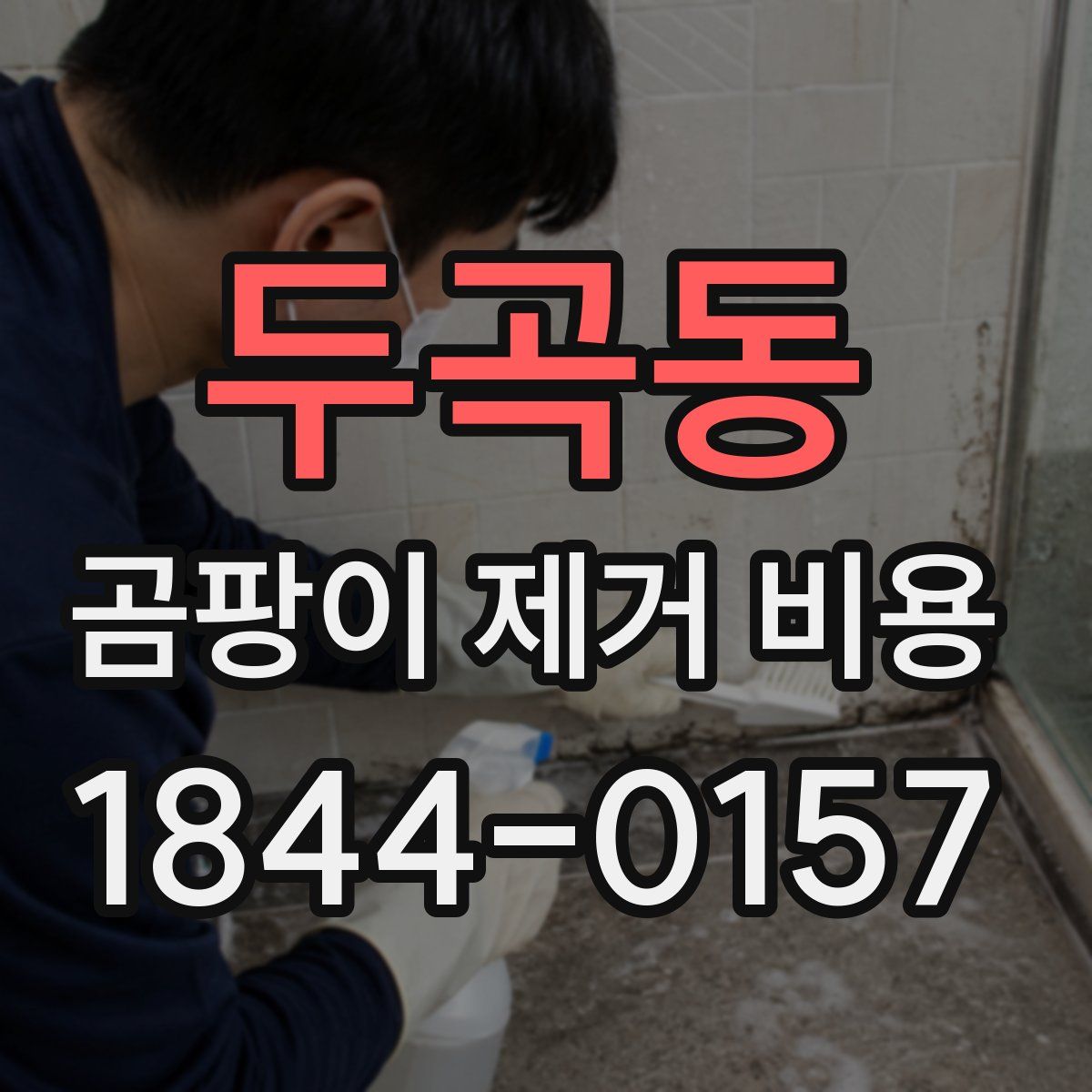 두곡동 곰팡이 제거 비용