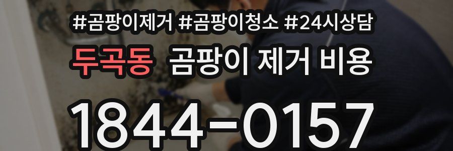 두곡동 곰팡이 제거 비용