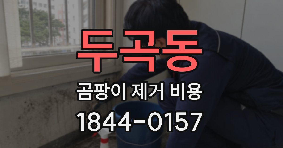 두곡동 곰팡이 제거 비용