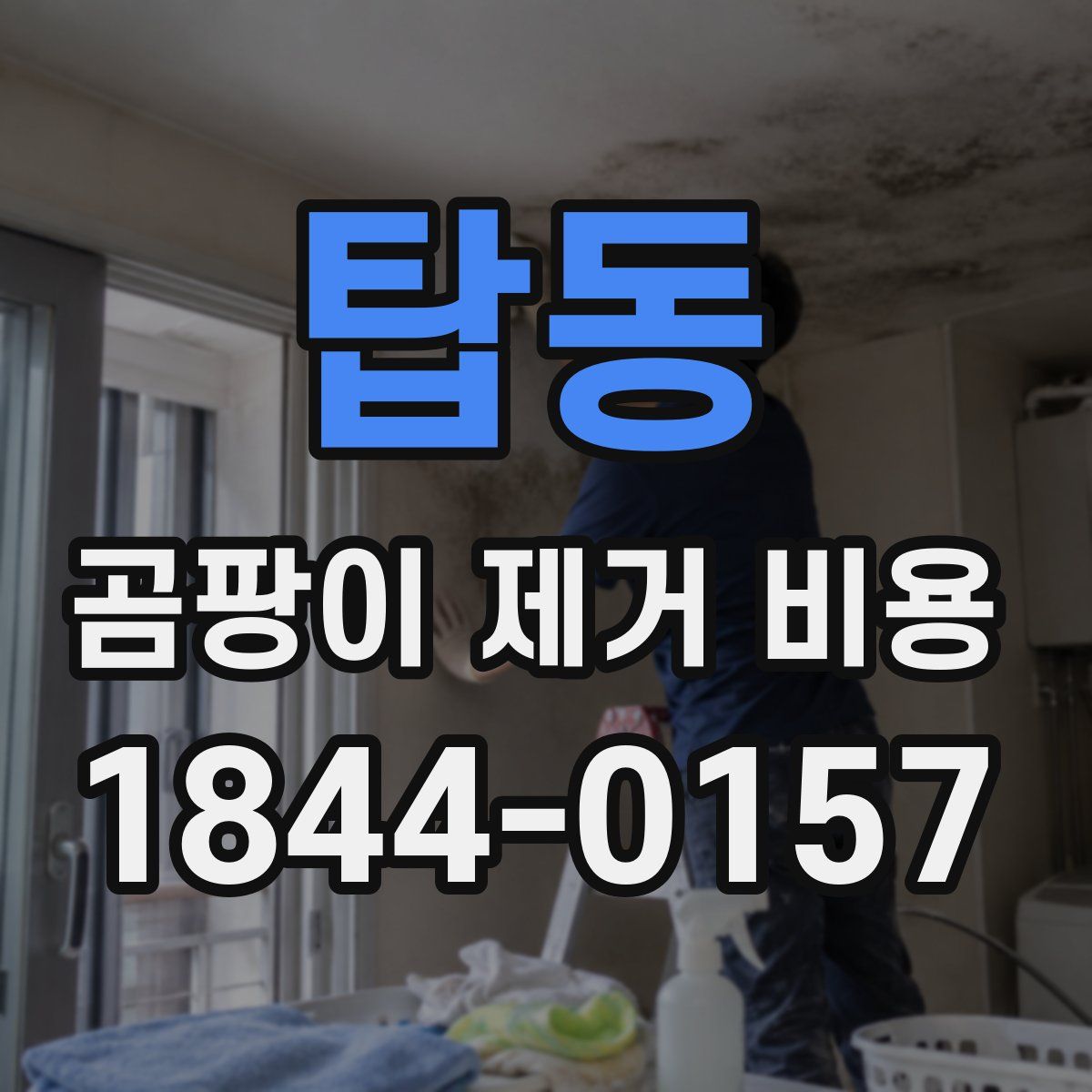 탑동 곰팡이 제거 비용