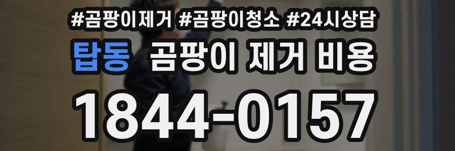 탑동 곰팡이 제거 비용