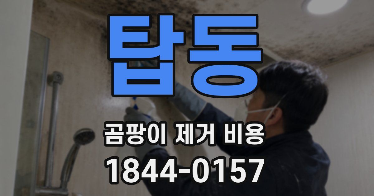 탑동 곰팡이 제거 비용