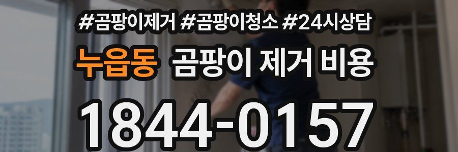 누읍동 곰팡이 제거 비용