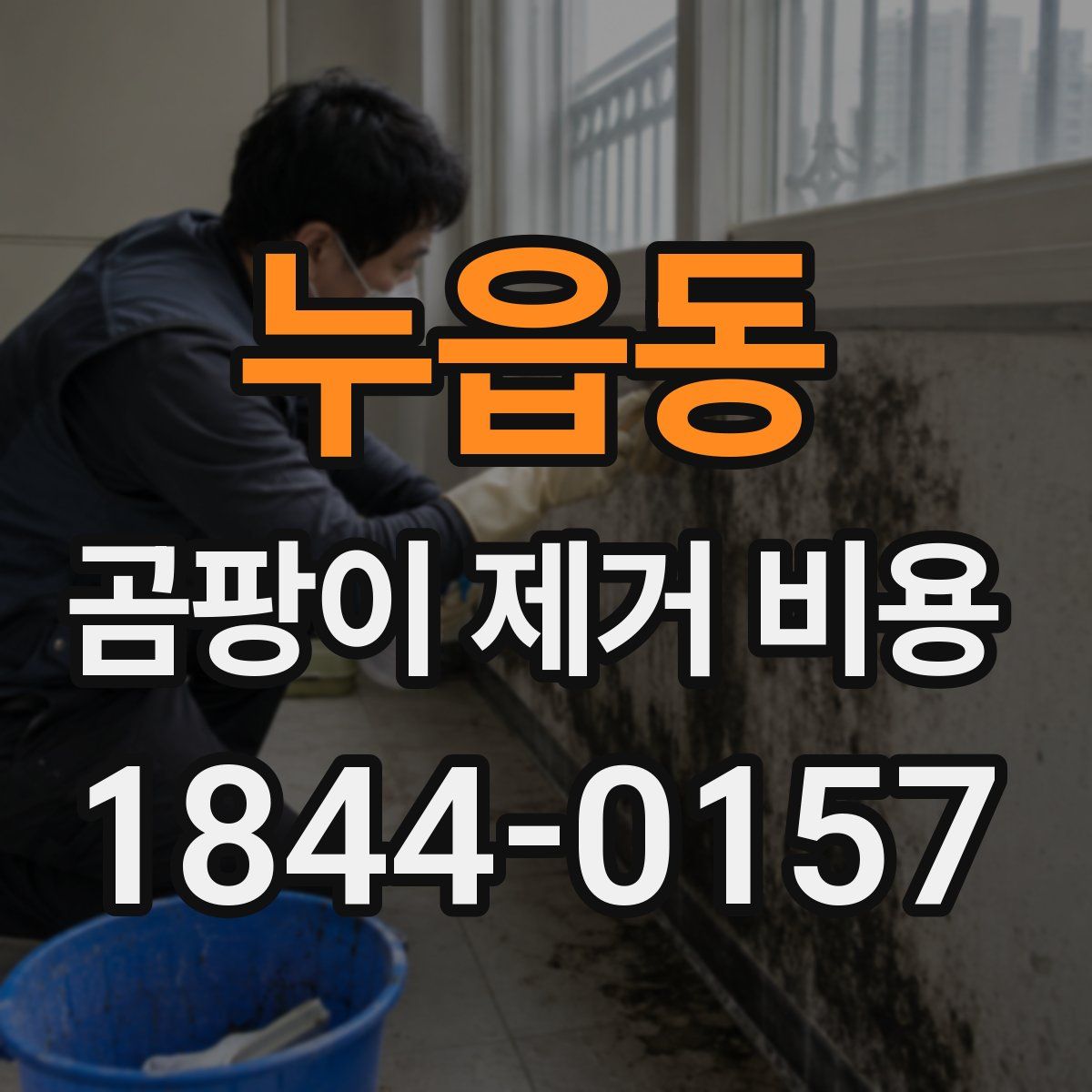누읍동 곰팡이 제거 비용