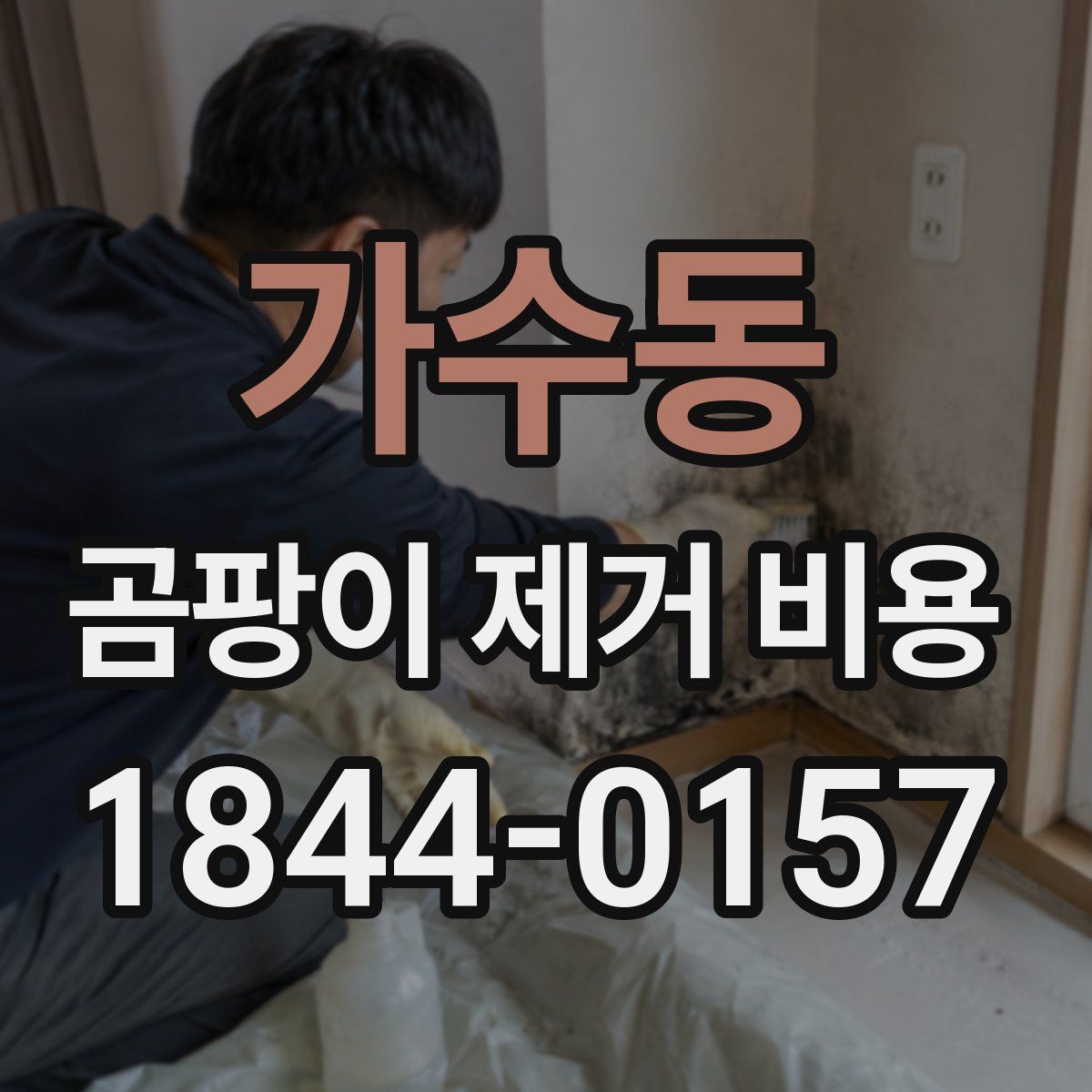 가수동 곰팡이 제거 비용