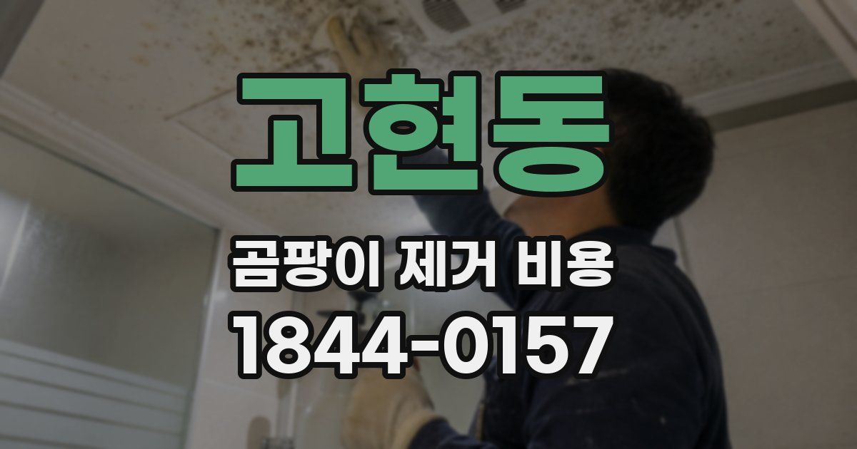 고현동 곰팡이 제거 비용