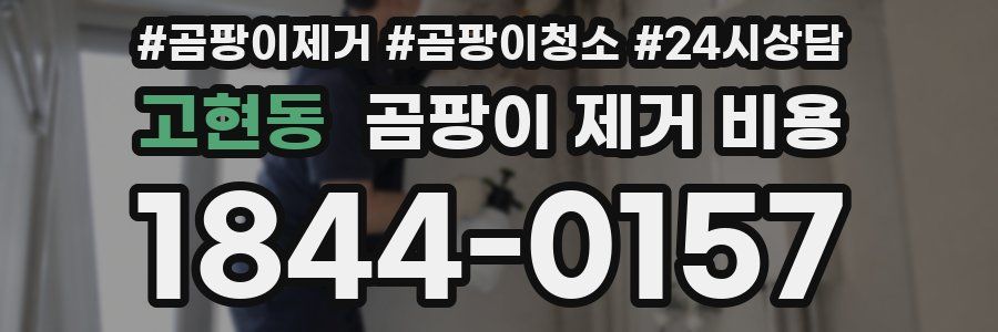 고현동 곰팡이 제거 비용