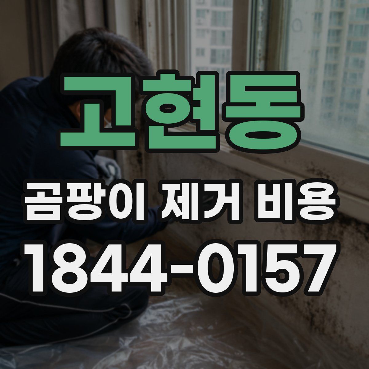 고현동 곰팡이 제거 비용