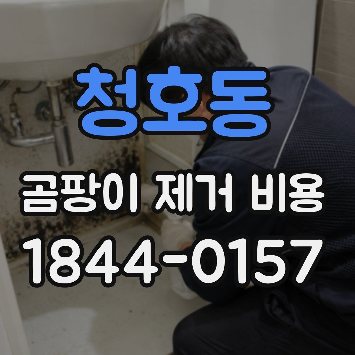 청호동 곰팡이 제거 비용 제거 후 다시 번지지 않게 하는 사후 관리