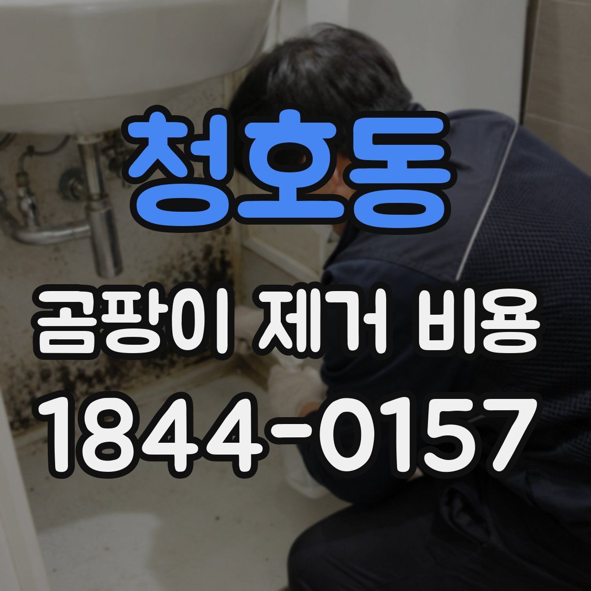 청호동 곰팡이 제거 비용