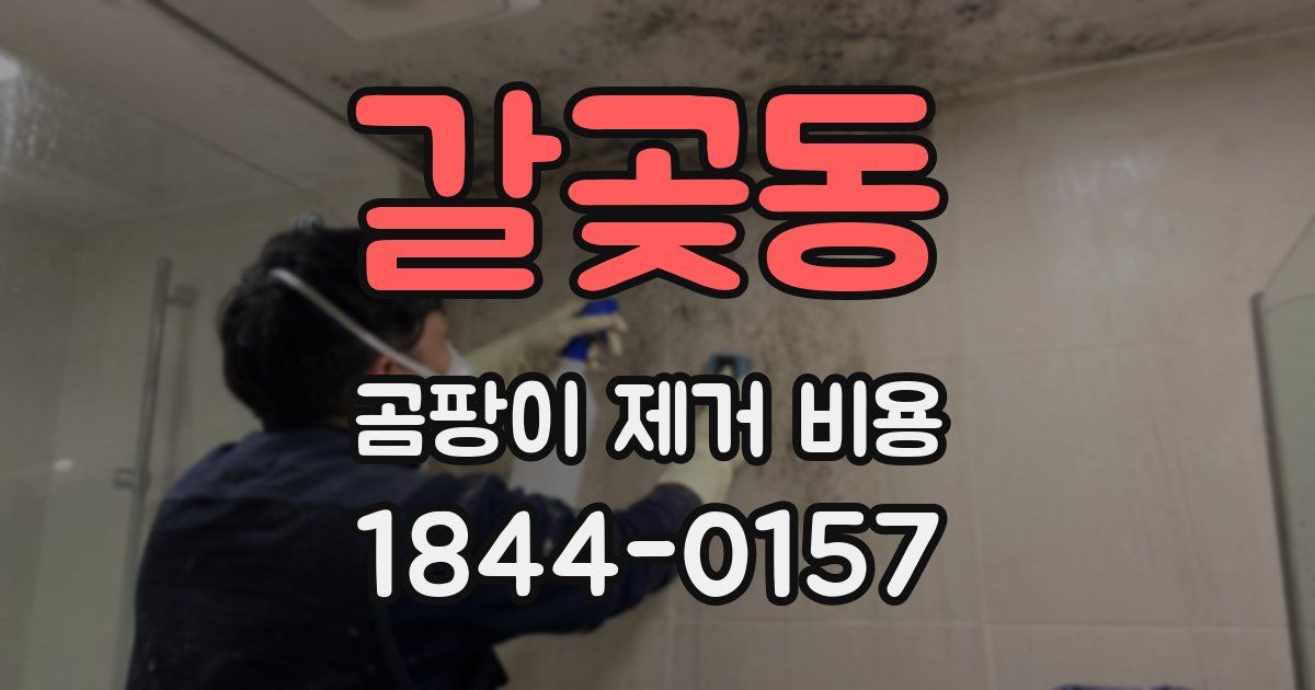 갈곶동 곰팡이 제거 비용