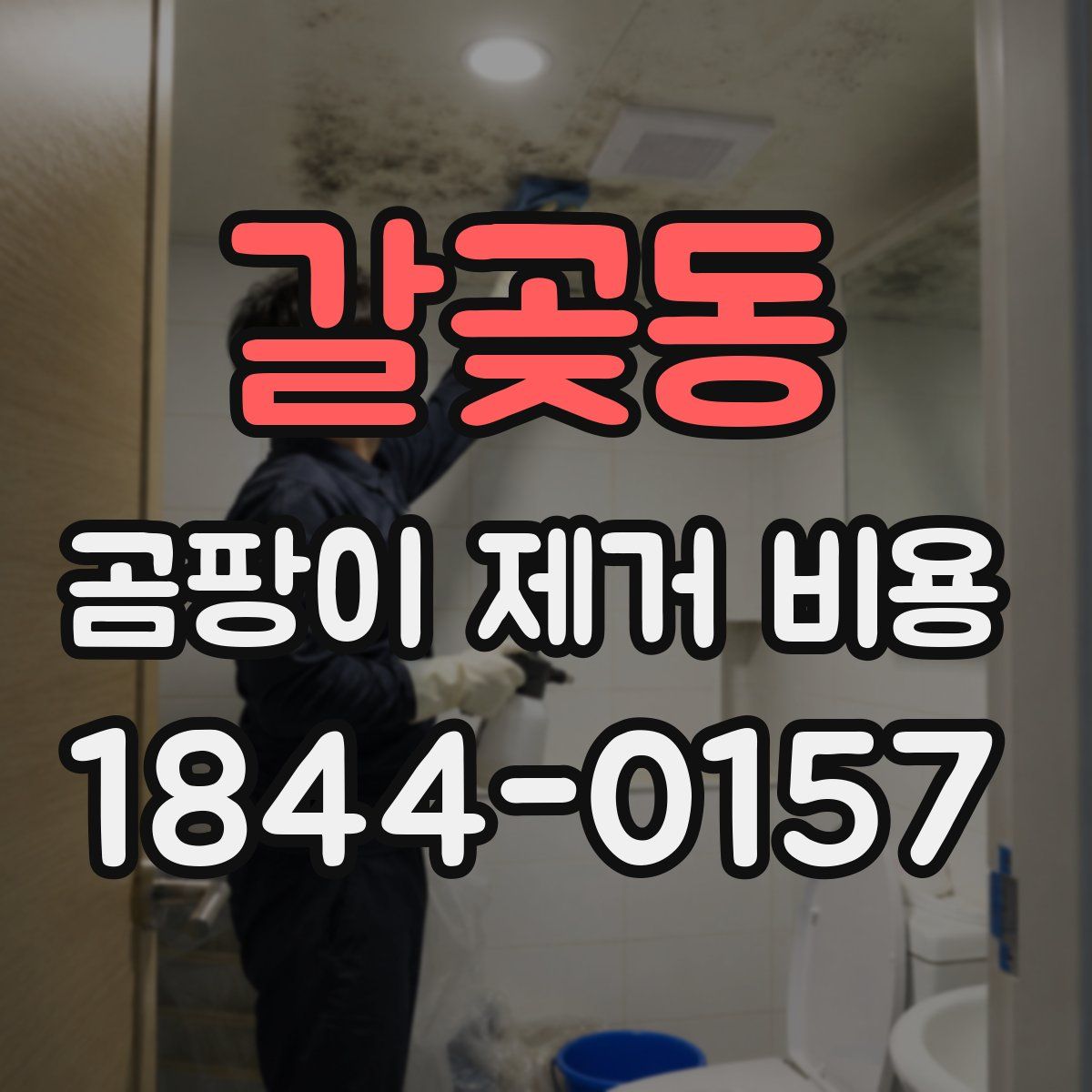 갈곶동 곰팡이 제거 비용