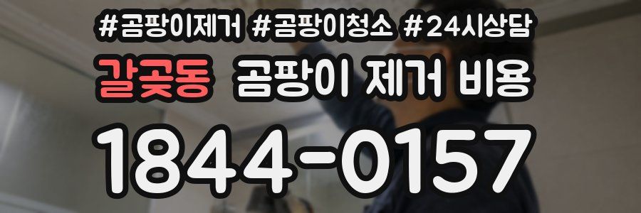 갈곶동 곰팡이 제거 비용
