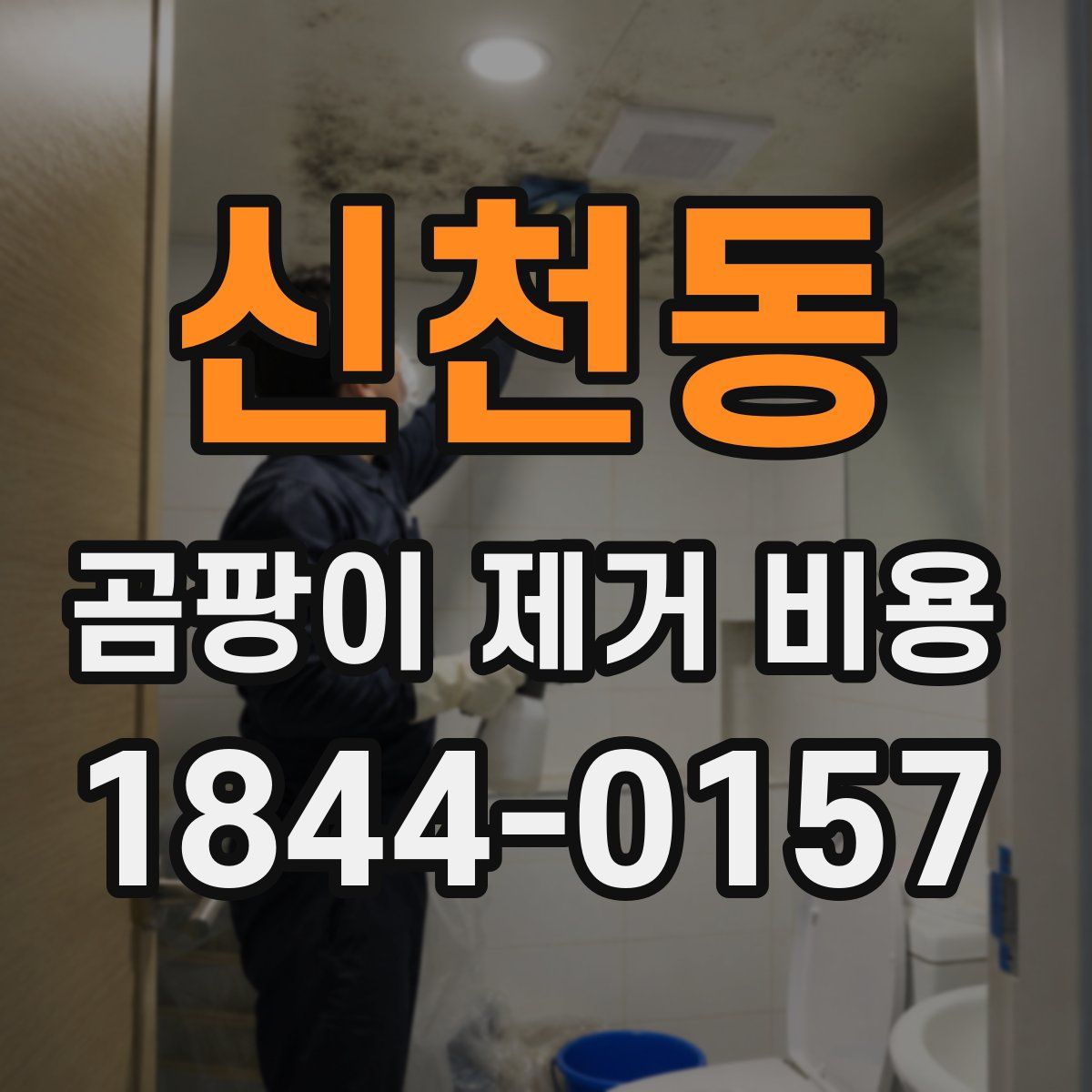 신천동 곰팡이 제거 비용