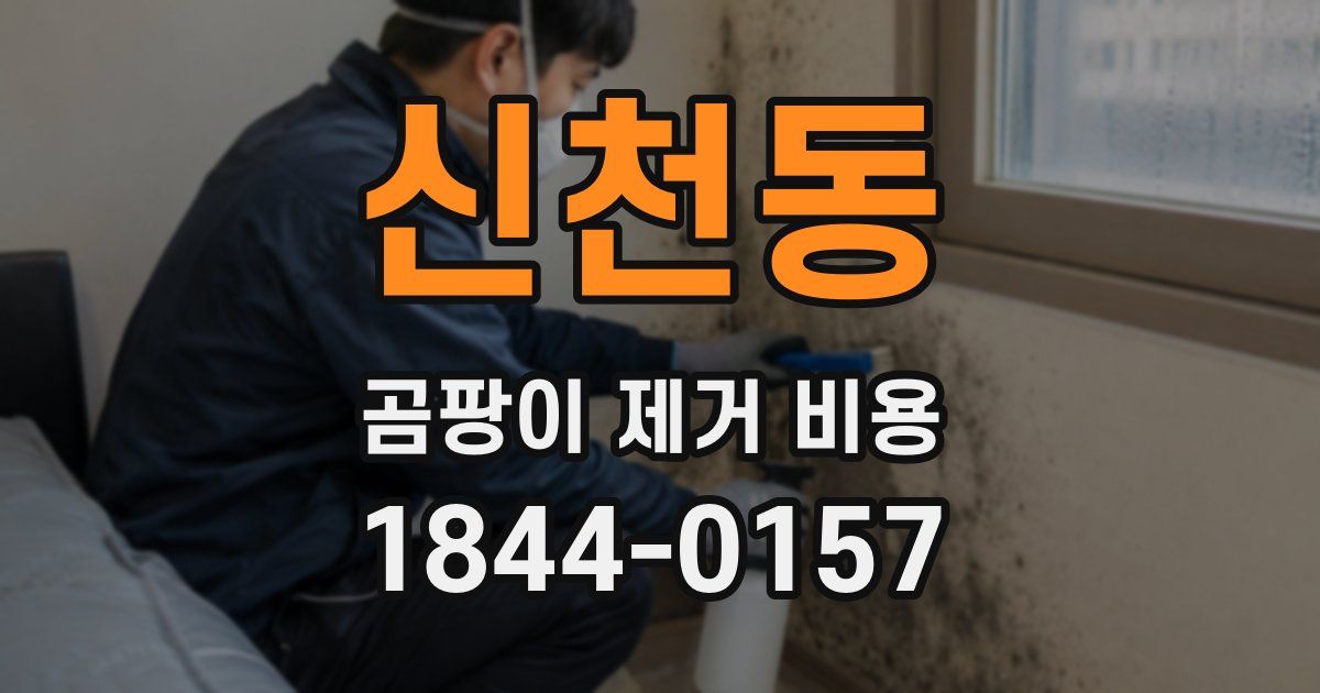 신천동 곰팡이 제거 비용