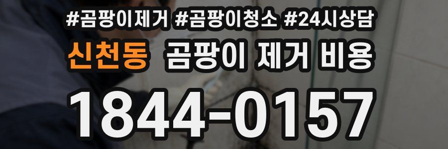 신천동 곰팡이 제거 비용