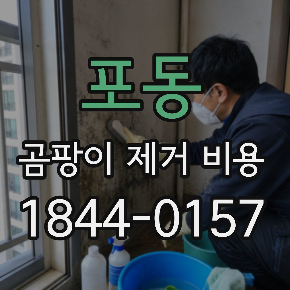 포동 곰팡이 제거 비용