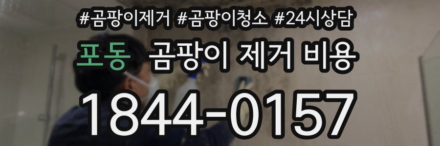 포동 곰팡이 제거 비용