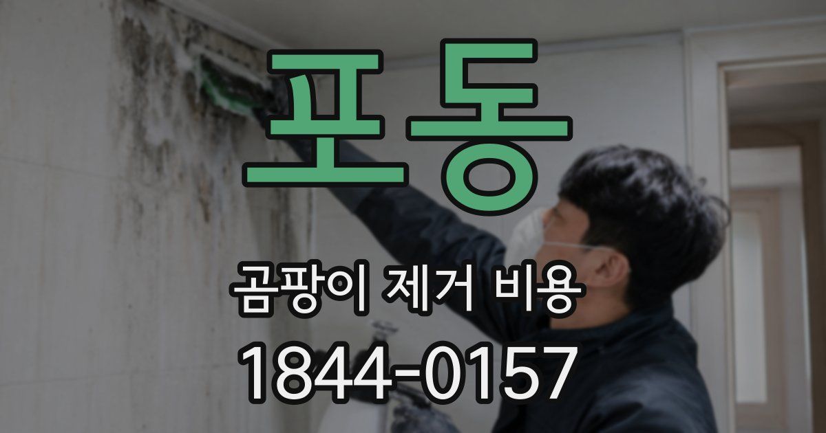 포동 곰팡이 제거 비용