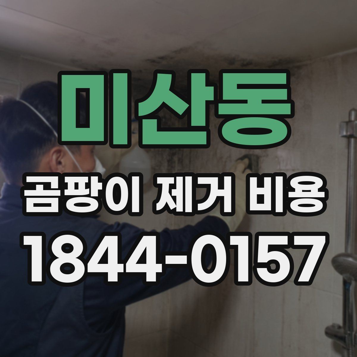 미산동 곰팡이 제거 비용 줄눈 손상 여부가 작업 범위를 좌우하는 경우