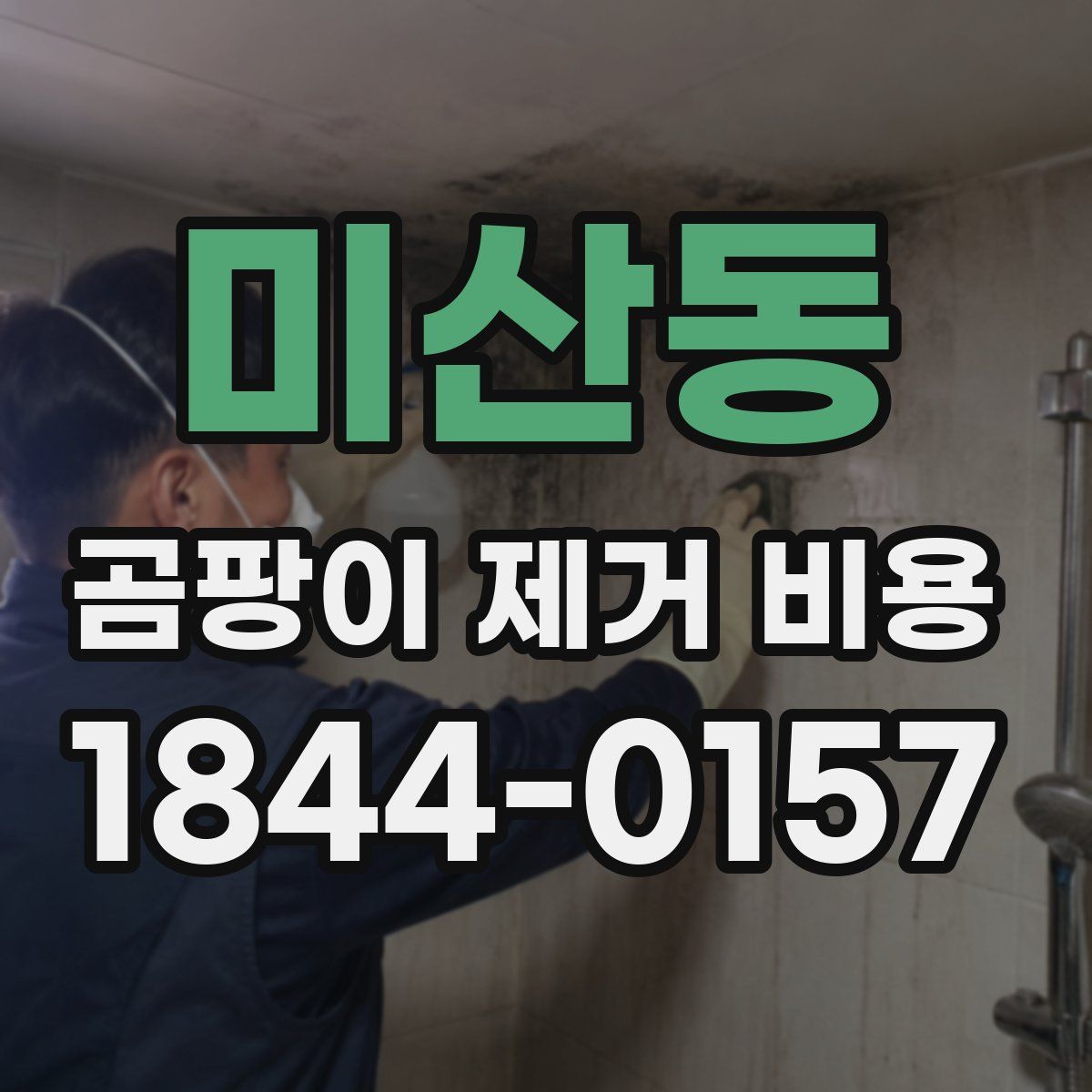 미산동 곰팡이 제거 비용