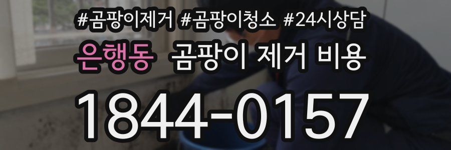 은행동 곰팡이 제거 비용