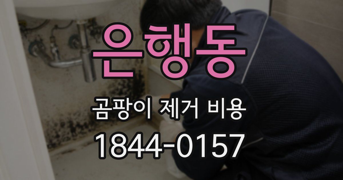 은행동 곰팡이 제거 비용