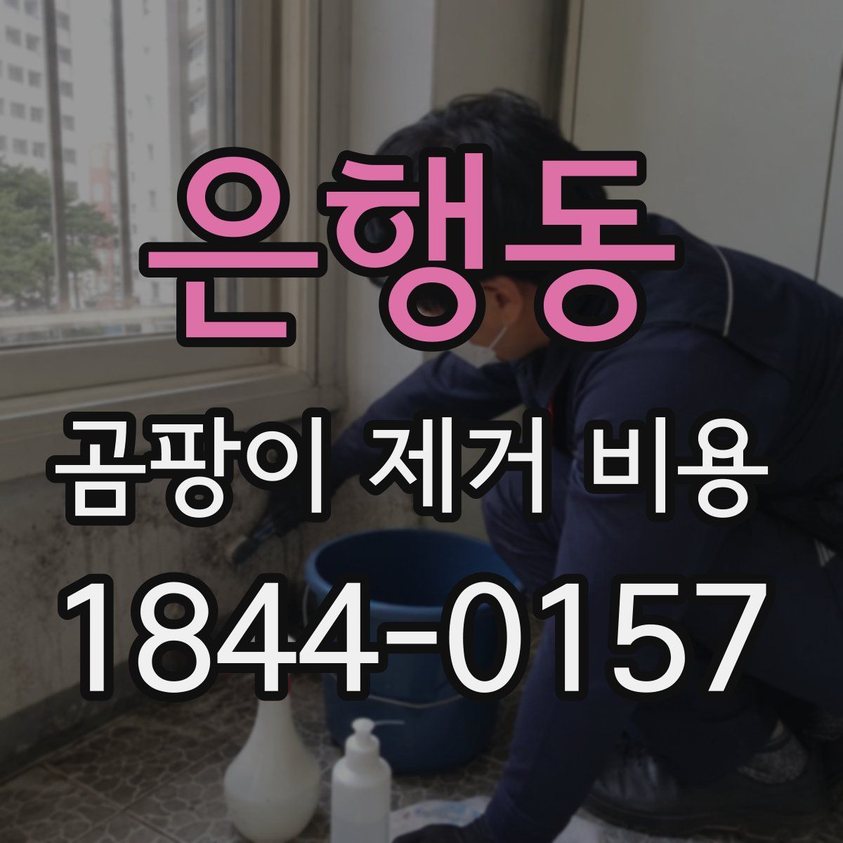 은행동 곰팡이 제거 비용