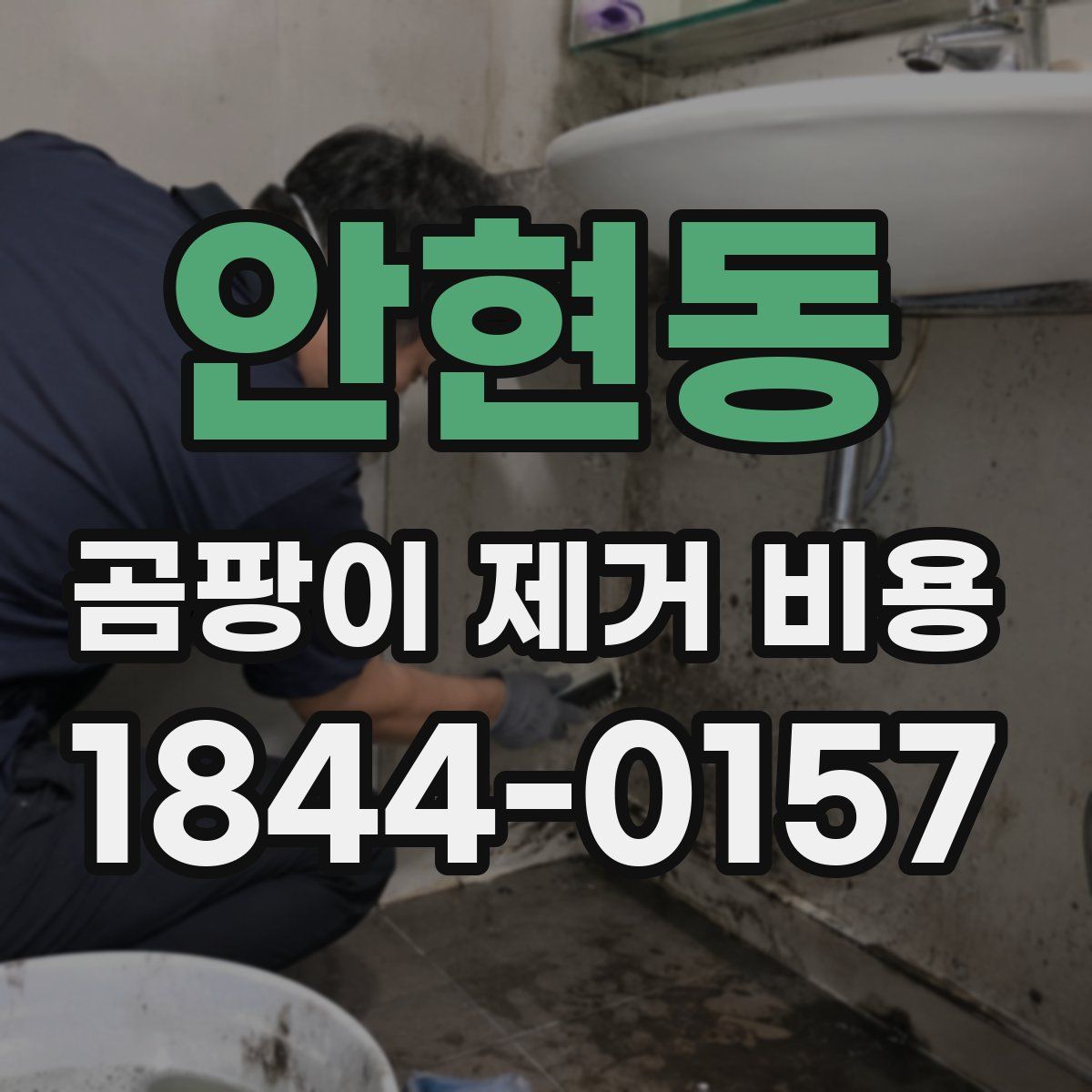 안현동 곰팡이 제거 비용