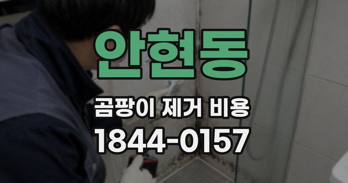 안현동 곰팡이 제거 비용
