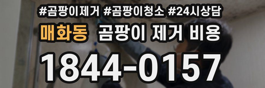 매화동 곰팡이 제거 비용