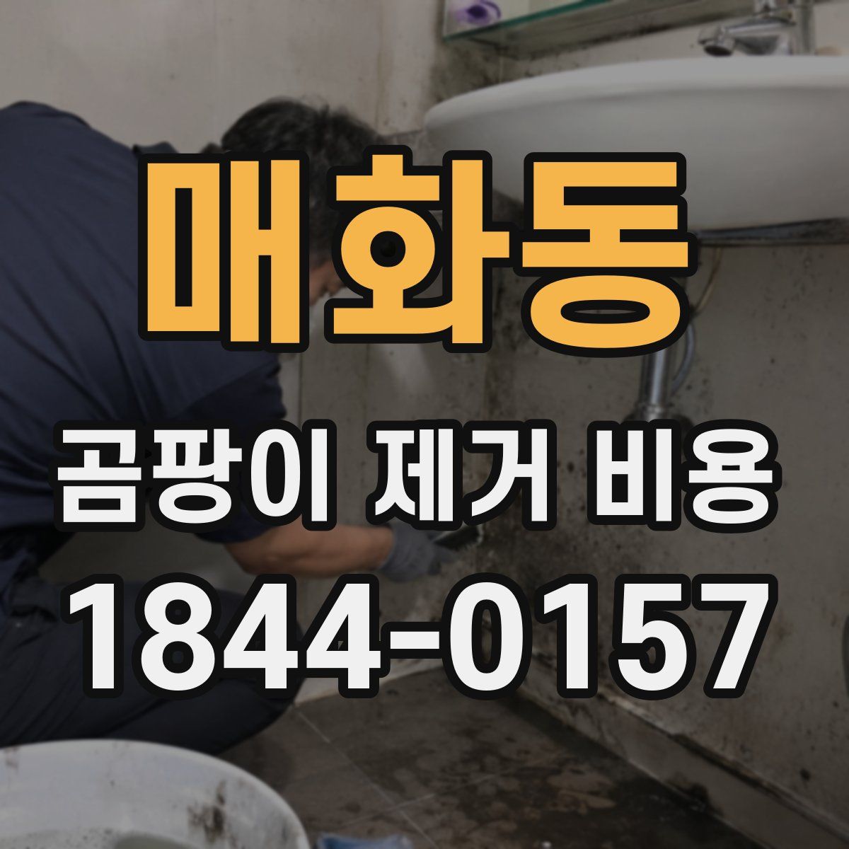 매화동 곰팡이 제거 비용