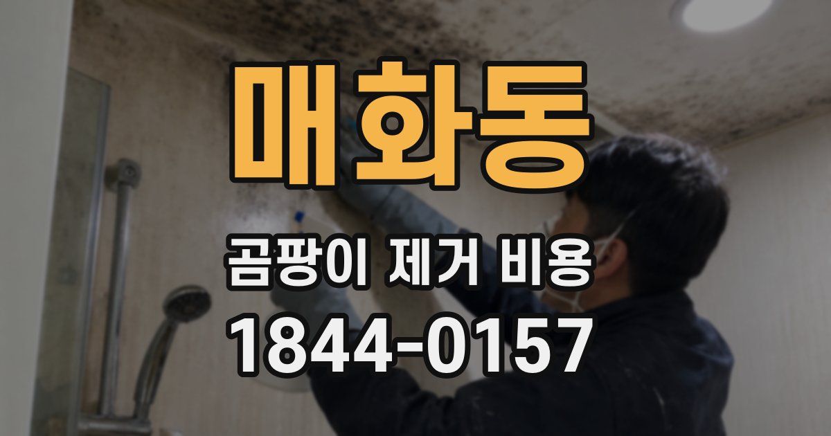 매화동 곰팡이 제거 비용