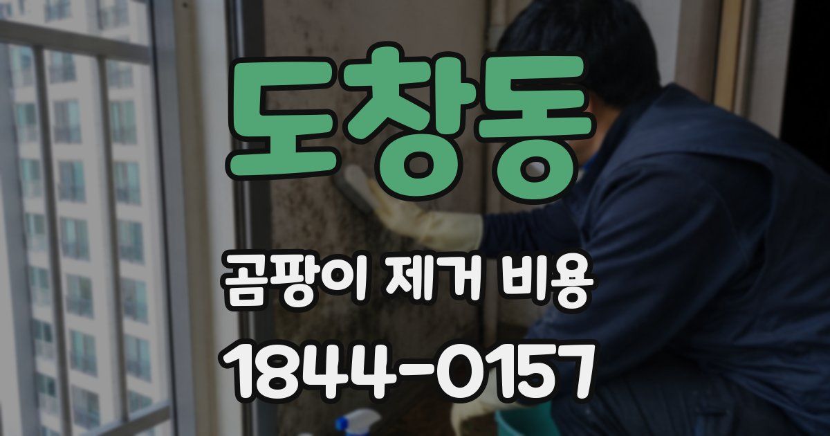 도창동 곰팡이 제거 비용