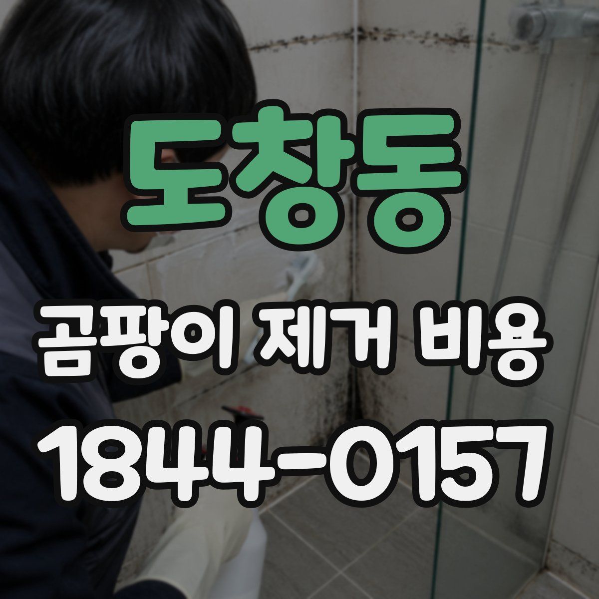 도창동 곰팡이 제거 비용