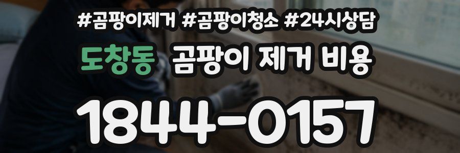 도창동 곰팡이 제거 비용